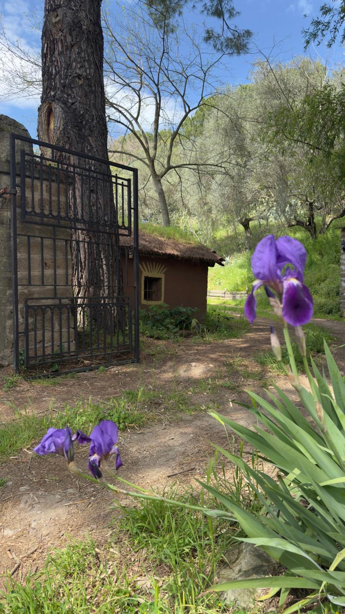 La Casa Del Grillo Villa Viterbo Buitenkant foto